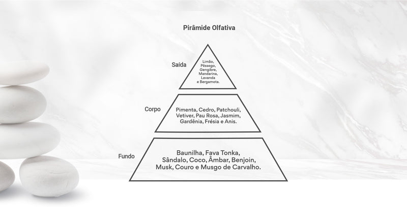 Pirâmide Olfativa