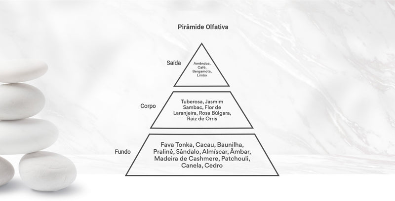 Pirâmide Olfativa