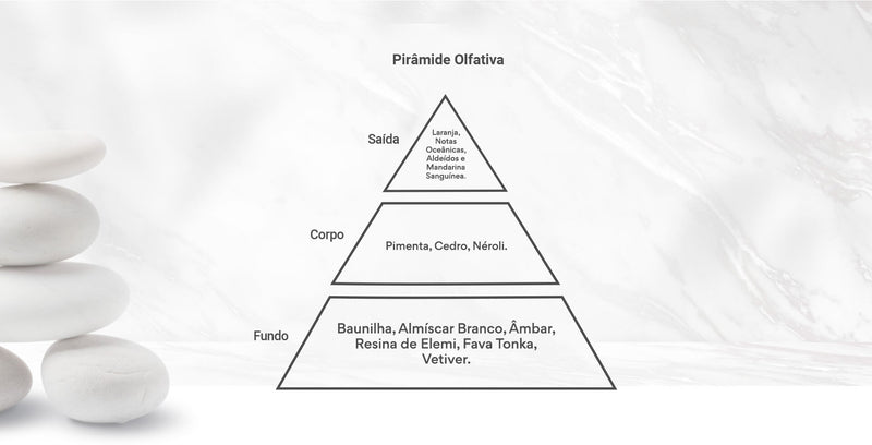 Pirâmide Olfativa