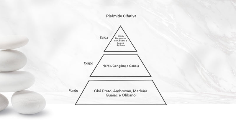 Pirâmide Olfativa